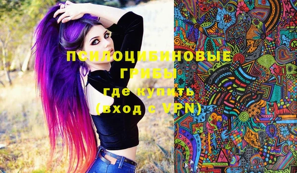 гашик Алексеевка