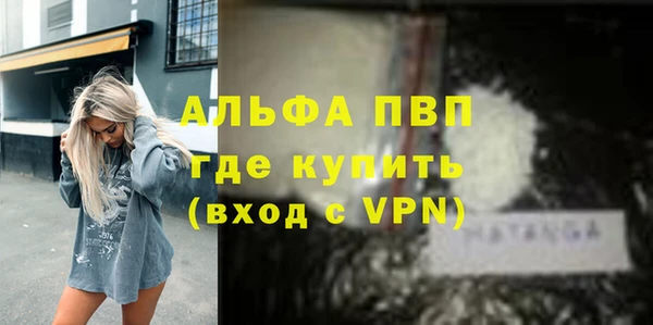гашик Алексеевка
