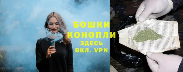 шишки Абдулино
