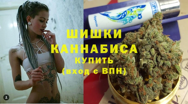 гашик Алексеевка