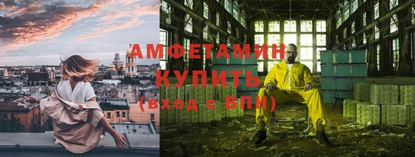гашик Алексеевка