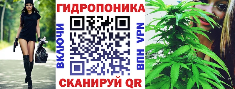 Бошки Шишки Amnesia Черепаново